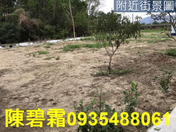 楠西農地-5