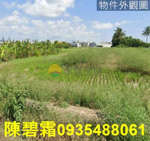 台南農地-1