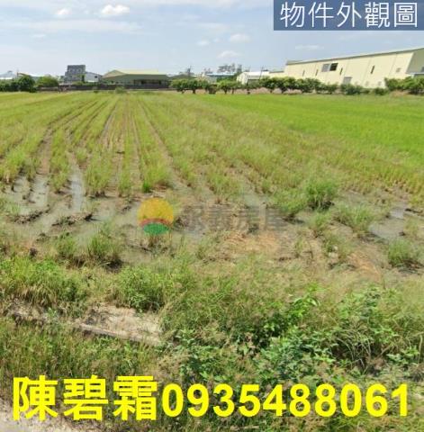 台南農地-2