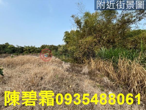 台南大內農地-2