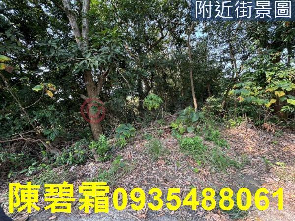 台南大內農地-3