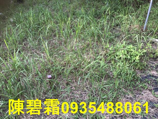 台南農地-0