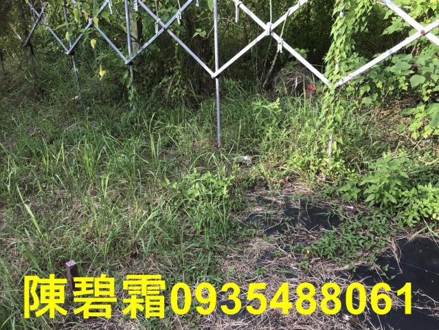 台南農地-1