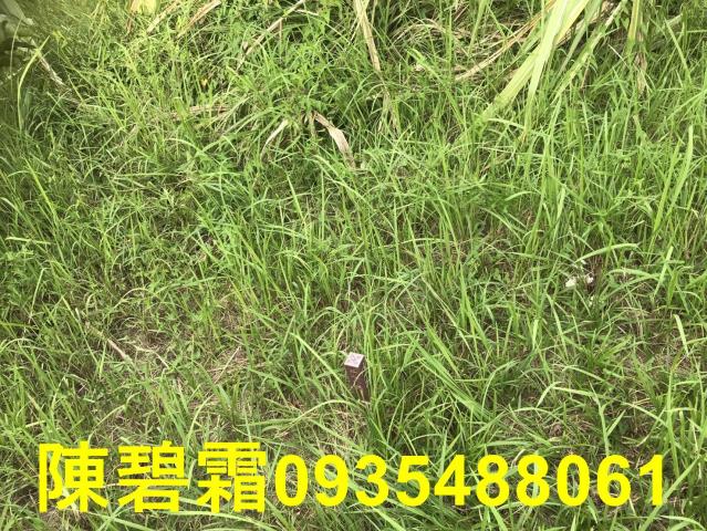 台南農地-2