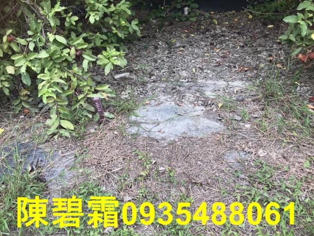 台南農地-3