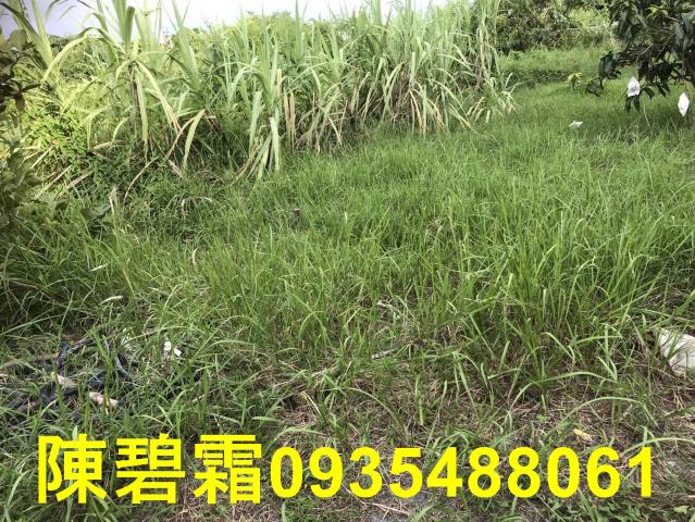 台南農地-4