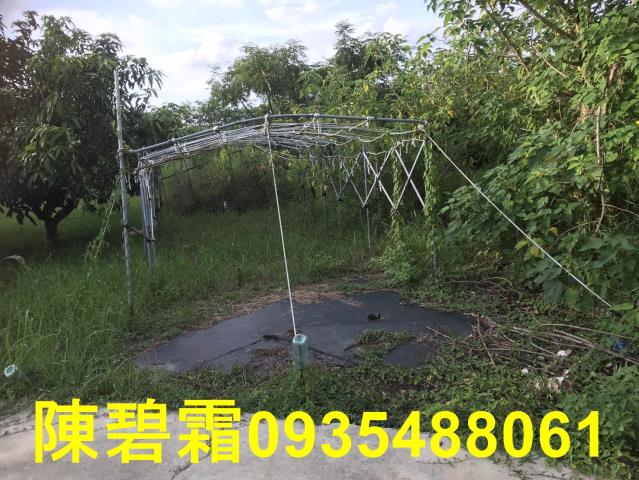 台南農地-6