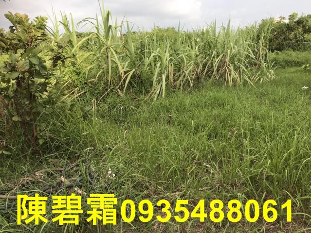台南農地-8