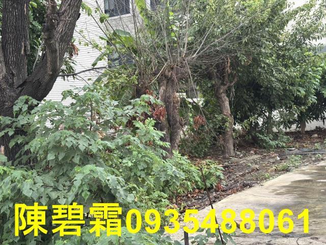 永康建地-5