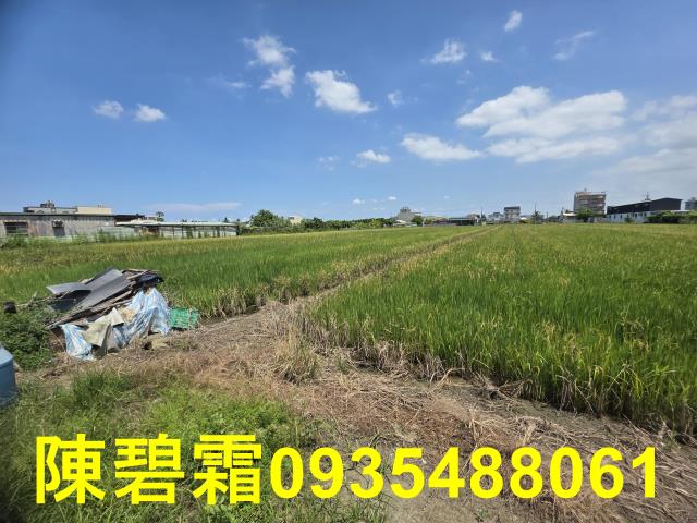 台南歸仁農地-6