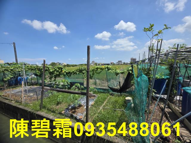 台南北區農地-2