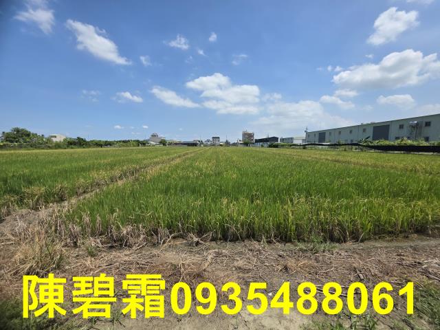 台南北區農地-4